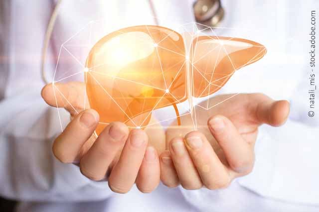 Herz und Leber: Wie die Gesundheit beider Organe voneinander abhängt